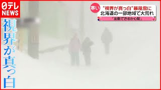 【きょうの1日】暴風雪に…北海道の一部で大荒れ  沖縄は20℃超え…3月並みの暖かさ