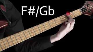 Learn Bass - Learning the notes of the fretboard