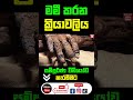 සම්පූර්ණ මමී කරන ක්‍රියාවලිය egyptian mummification process