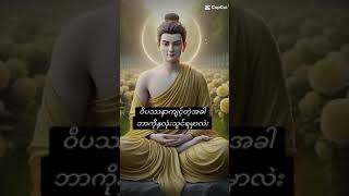 ဝိပဿနာကျင့်တဲ့အခါဘာကိုနှလုံးသွင်းရမှာလဲ ? (ပါချုပ်ဆရာတော်ဘုရားကြီး)