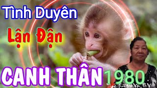 Tử Vi Trọn Đời Tuổi Canh Thân 1980 Tình Duyên Lận Đận & 1Số Ứng Dụng Phong Thủy Mang đến May Mắn