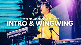 몽돌 (MONGDOLL) - Intro \u0026 Wingwing 롤링홀 단독콘서트 Live Clip