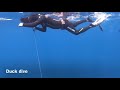 Freediving- Duck dive