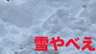 ただの雪かきです