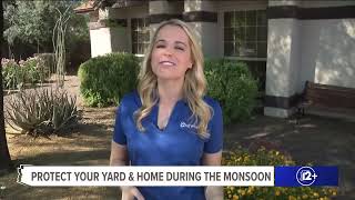 Monsoon Yard Preps