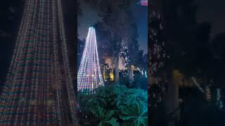 San Antonio Zoo in December 2024