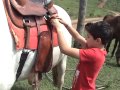 Equipando o cavalo para um passeio com Vitor Peron