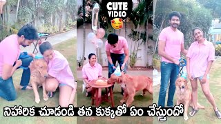 Niharika Konidela Celebrates Her Dog First Birthday With Her Husband Chaitanya | Sahithi Tv