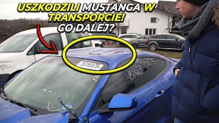 Uszkodzili MUSTANGA w transporcie co dalej?