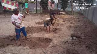 Dates tree planting method . সৌদি জাতের খেজুরের চারা রোপনের জায়গা তৈরি / জায়গা নির্বাচন পদ্ধতি