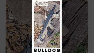 Up Close on The ATI Bulldog 20ga Tactial Shotgun 🇺🇸 American Tactical