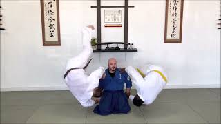 Bret Gordon Seated Aiki | American Yoshinkan Aiki Jujutsu