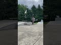 Grind to tailwhip #scooter