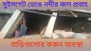 সুইসগেট ভেঙে নদীর জল প্রবাহ, রানীচেকের বাড়িগুলোর ওপর ঝুঁকি