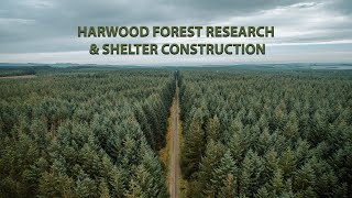 Harwood forest research and shelter construction