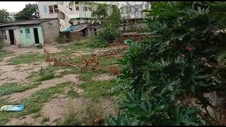 2000 Sqyards for sale Waddepalli | Hanamkonda | Warangal | SONA99