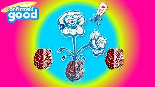 1 Poppygrower VS 3 Cerenovuses | Blood on the Clocktower