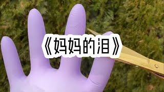 《妈妈的泪》缺爱的家庭会培养出什么样的孩子？#小说 #小说推荐 #故事 #讲故事