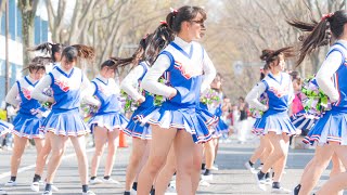 【Cheer】フレッシュな有名JDチアチームのダンス PART1【さくら祭り】