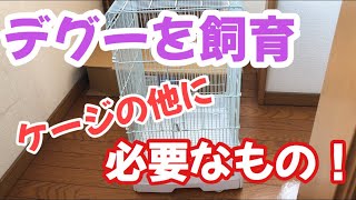 デグー飼育! ケージの他に必要な物を紹介します。