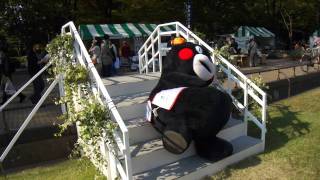 くまモン　休憩中。。。　2011 10 29