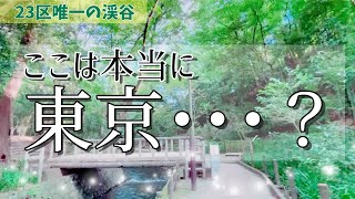 【避暑地】東京23区唯一の渓谷に行ったら涼しすぎた！「今」を感じられる自然