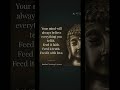 #shorts Buddha quotes I Buddhism I Buddhaquotes I Buddha