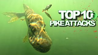 TOP 10 Underwater Pike Attacks ! Best fishing actions of 2024 in 4K quality | Underwater World