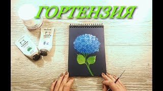 Гортензия  акриловыми красками How to paint a Hydrangea