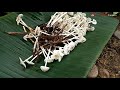 '' BUJANG BEKURUNG  '' Oleh SUPRATMAN  / GITAR TUNGGAL BATANGHARI SEMBILAN  Sumatera Selatan- .