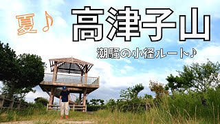 【和歌山市】夏の緑が美しい♪潮騒の小径ルートを行く♪高津子山♪