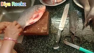 How to Clean Red Pomfret Fish at home/Red Pomfret Fish Cutting/Fish cleaning video Vlog-2