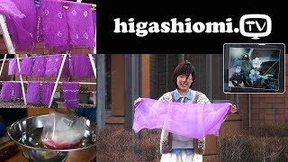 higashiomi.TV #59☆「ムラサキ」で染色体験をリポート