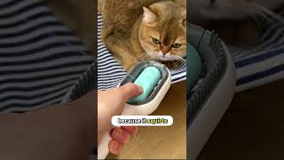 This Sticky Brush squirts water so the fur won't scatter on the floor! 😸😳