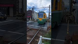 【鹿児島電9505】脇田4号踏切を通過します。#shorts #鹿児島市電 #tram