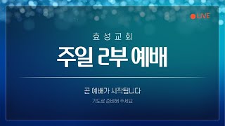 효성교회 실시간 오전예배