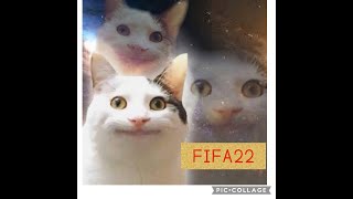 FIFA22　プロクラブ　パブリック　div3