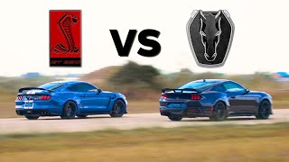 BATTLE OF THE V8's // 2024 Dark Horse Mustang vs. 2020 Shelby GT350R Mustang // Stock Comparison