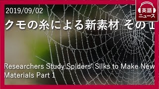 【英語リスニング・ニュース】クモの糸による新素材 その１【日英同時字幕】