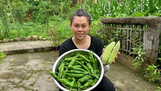 今天摘一盆辣椒做个下饭菜，配着苦瓜也太好吃了 Eating delicious chili peppers and bitter gourds today