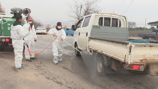 전남 영암 오리농장 AI…6개 시ㆍ도 이동중지명령 / 연합뉴스TV (YonhapnewsTV)