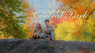 fall in new york: 🚕 central park, a cozy bookstore, and picnicking in fall 🍂