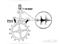 手表有“呼吸”声？看完就知道机械表滴答滴答声音的含义