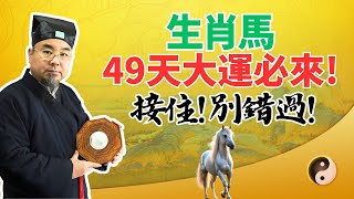 49天倒計時開始！生肖馬將迎來大運，財運已在路上，奇蹟將會發生！接住，別錯過！ #2025年生肖馬運勢 #2025年生肖馬運程 #2025年屬馬運勢 #2025年屬馬運程