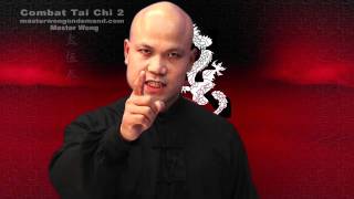 Tai chi combat tai chi chuan fight style use chen tai chi – lesson 10