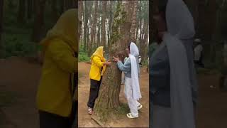 ഊട്ടി പട്ടണം 🥰#pineforest #reels #creator #cousins #shortvideo #shorts #instagram #wibe #love