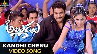 Naa Alludu Video Songs | Kandhi Chenu Kada Video Song | Jr.NTR, Shriya, Genelia | Sri Balaji Video