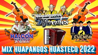 🔥Tríos Huastecos Huapangos 2022🎶Halcon Huasteco y Huapangos Diferentes y Leyenda De La Sierra🔥