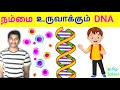 What is DNA in Tamil  டிஎன்ஏ  என்றால் என்ன ? DNA explained TAMIL SOLVER