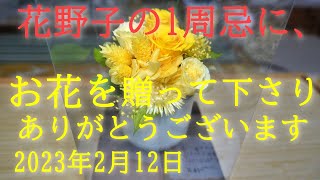 花野子の1周忌にお花を贈って頂き、有難う御座います。【元野良猫11匹多頭飼いの日常】みけみけみっちゃん